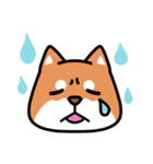 柴犬顔文字スタンプ（個別スタンプ：10）