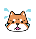 柴犬顔文字スタンプ（個別スタンプ：11）