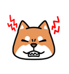 柴犬顔文字スタンプ（個別スタンプ：12）