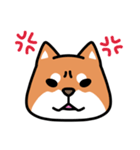 柴犬顔文字スタンプ（個別スタンプ：13）