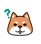 柴犬顔文字スタンプ（個別スタンプ：14）
