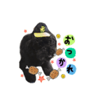 愛しのムッシュ（個別スタンプ：1）