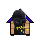 愛しのムッシュ（個別スタンプ：10）