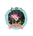 私の好きな花（個別スタンプ：7）