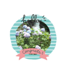 私の好きな花（個別スタンプ：8）