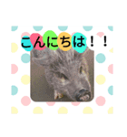 黒猫ジジのお友達（個別スタンプ：1）