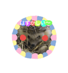 黒猫ジジのお友達（個別スタンプ：2）