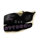 黒猫ジジのお友達（個別スタンプ：7）