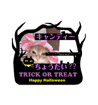 ハロニャンNight★〜仮装もあるよ！〜（個別スタンプ：5）