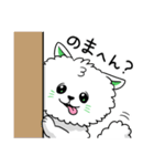 ハイボール好き関西弁白ポメ（個別スタンプ：1）