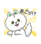 ハイボール好き関西弁白ポメ（個別スタンプ：10）