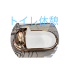 株式会社 セイショウ no2（個別スタンプ：6）