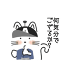 動く！ 猫！ A！ part20 さむらい編（個別スタンプ：3）