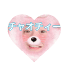 1012誕プレスタンプ（個別スタンプ：6）
