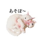 白猫タマの日常（個別スタンプ：11）