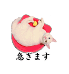 白猫タマの日常（個別スタンプ：25）