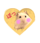 ハムスター❤︎おもちのほっこりスタンプ❤︎（個別スタンプ：2）