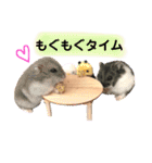 ハムスター❤︎おもちのほっこりスタンプ❤︎（個別スタンプ：17）