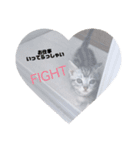 愛猫LOVE（個別スタンプ：6）