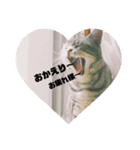 愛猫LOVE（個別スタンプ：7）
