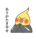 おかめ〜ず（個別スタンプ：6）
