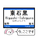 富山 城端線 氷見線 今この駅だよ タレミー（個別スタンプ：11）