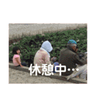 よしだのこたち2（個別スタンプ：4）