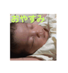 よしだのこたち2（個別スタンプ：33）