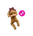 トイプードル♪パート2（個別スタンプ：1）