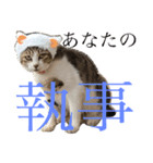 ココと仲間たち（個別スタンプ：5）