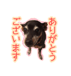 すえっこそらくん（個別スタンプ：2）