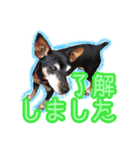 すえっこそらくん（個別スタンプ：3）