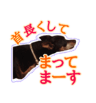 すえっこそらくん（個別スタンプ：5）