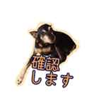 すえっこそらくん（個別スタンプ：6）