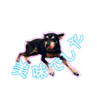すえっこそらくん（個別スタンプ：11）