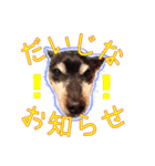 すえっこそらくん（個別スタンプ：14）