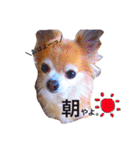 ぴーす★すたんぷ（個別スタンプ：17）