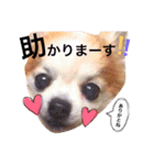 ぴーす★すたんぷ（個別スタンプ：30）
