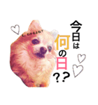 ぴーす★すたんぷ（個別スタンプ：32）