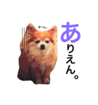 ぴーす★すたんぷ（個別スタンプ：38）