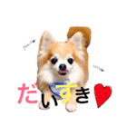 ぴーす★すたんぷ（個別スタンプ：39）