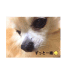 ぴーす★すたんぷ（個別スタンプ：40）