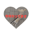 ミックス犬花奈①（個別スタンプ：21）
