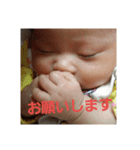 はぢゅ（個別スタンプ：1）
