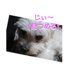 もりもり森 もこもこ（個別スタンプ：3）