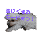 もりもり森 もこもこ（個別スタンプ：5）