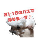 もりもり森 もこもこ（個別スタンプ：8）