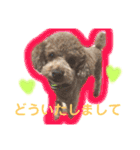 ツンデレモコちゃんの日常～効果音多め～（個別スタンプ：5）