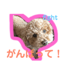 ツンデレモコちゃんの日常～効果音多め～（個別スタンプ：12）