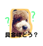 ツンデレモコちゃんの日常～効果音多め～（個別スタンプ：18）